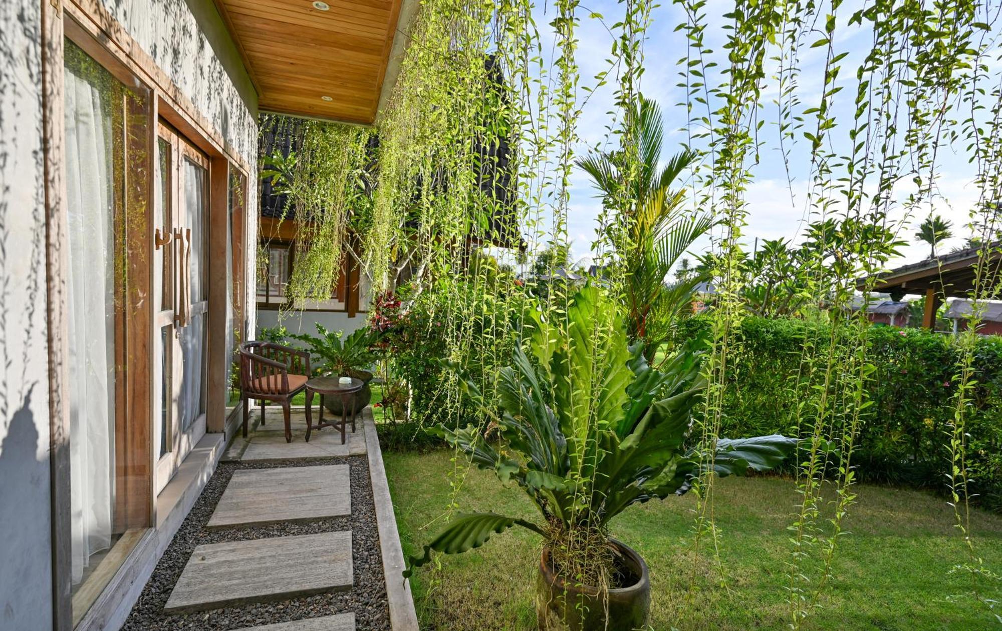 Canggu Wooden Green Paradise Zimmer foto