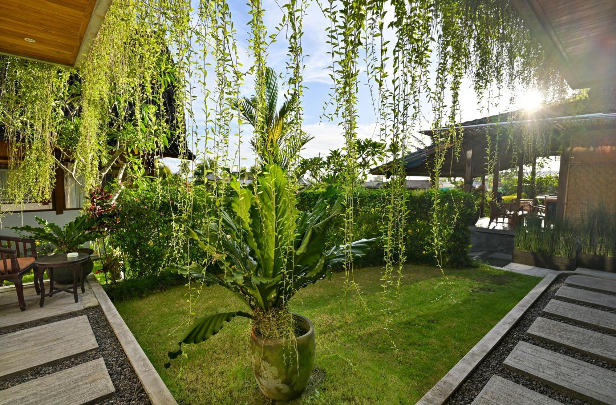 Canggu Wooden Green Paradise Zimmer foto